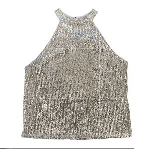 NWOT | Cable & Gauge | Silver Sequin Halter Neck Lined Top